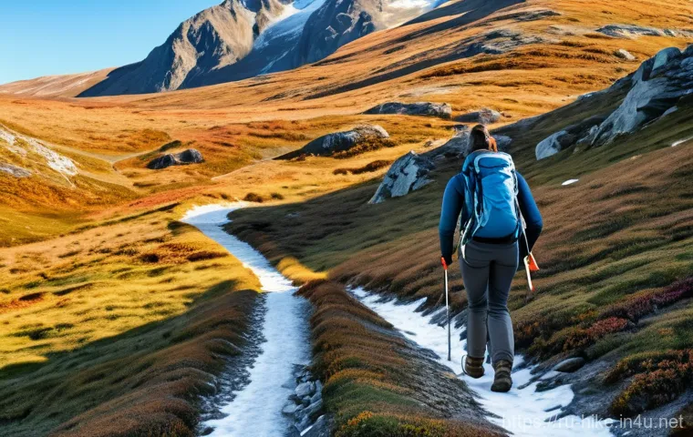 등산 중 체온 유지법 - Prompt 1: Layered Hiker in a Chilly Mountain Pass**